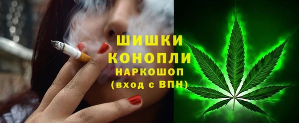 стаф Верхний Тагил