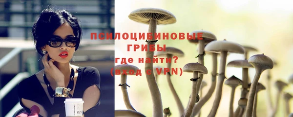 прущая мука Верея