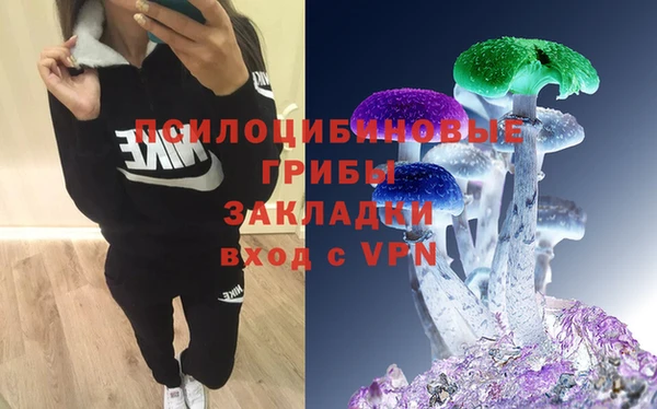 стаф Верхний Тагил