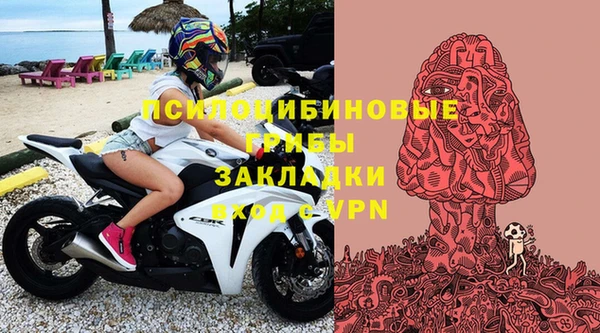 прущая мука Верея