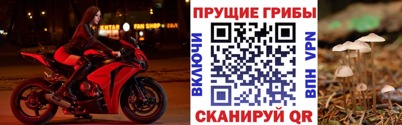 Купить где  Большой Камень  Галлюциногенные грибы прущие грибы 